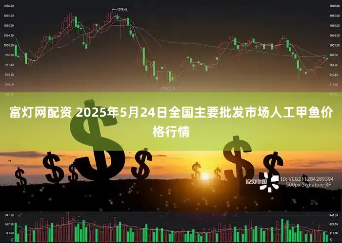 富灯网配资 2025年5月24日全国主要批发市场人工甲鱼价格行情