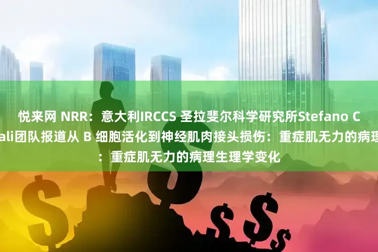 悦来网 NRR:意大利IRCCS 圣拉斐尔科学研究所Stefano Carlo Previtali团队报道从 B 细胞活化到神经肌肉接头损伤:重症肌无力的病理生理学变化