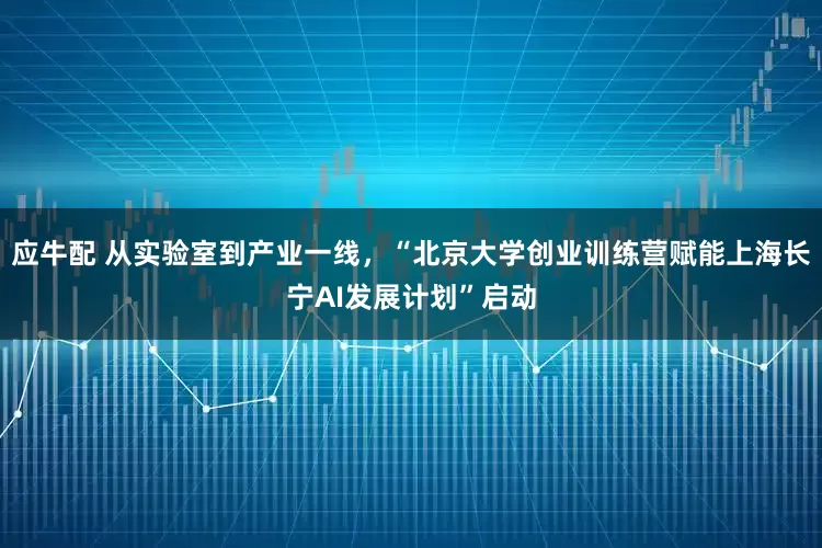 应牛配 从实验室到产业一线，“北京大学创业训练营赋能上海长宁AI发展计划”启动
